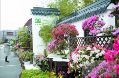 22個(gè)城市的微型景觀將亮相杜鵑花展